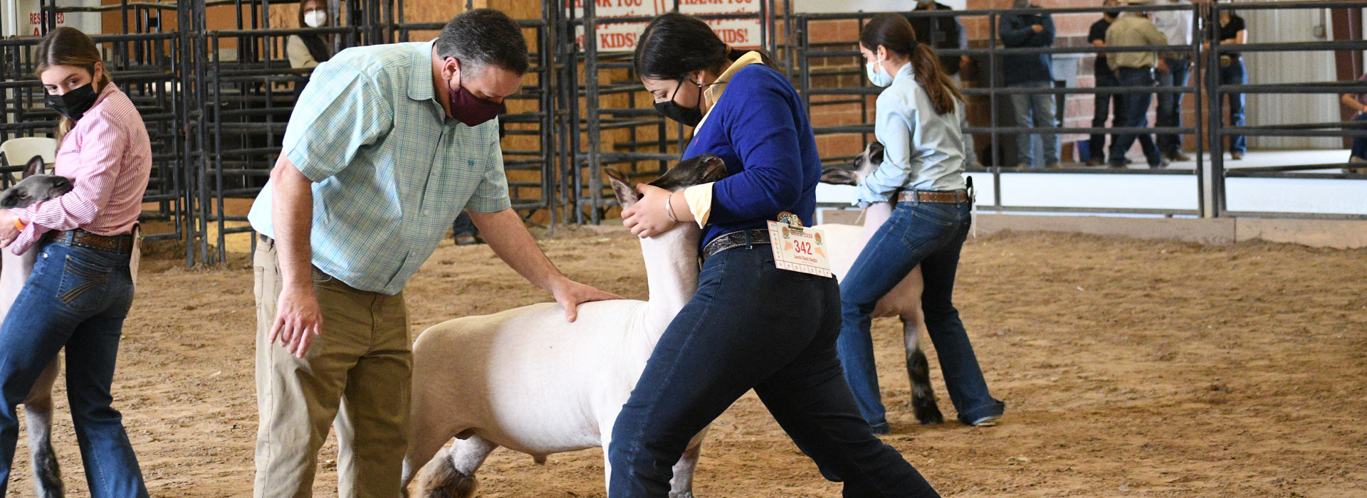 Laredo International Fair & Exposition board of professionals