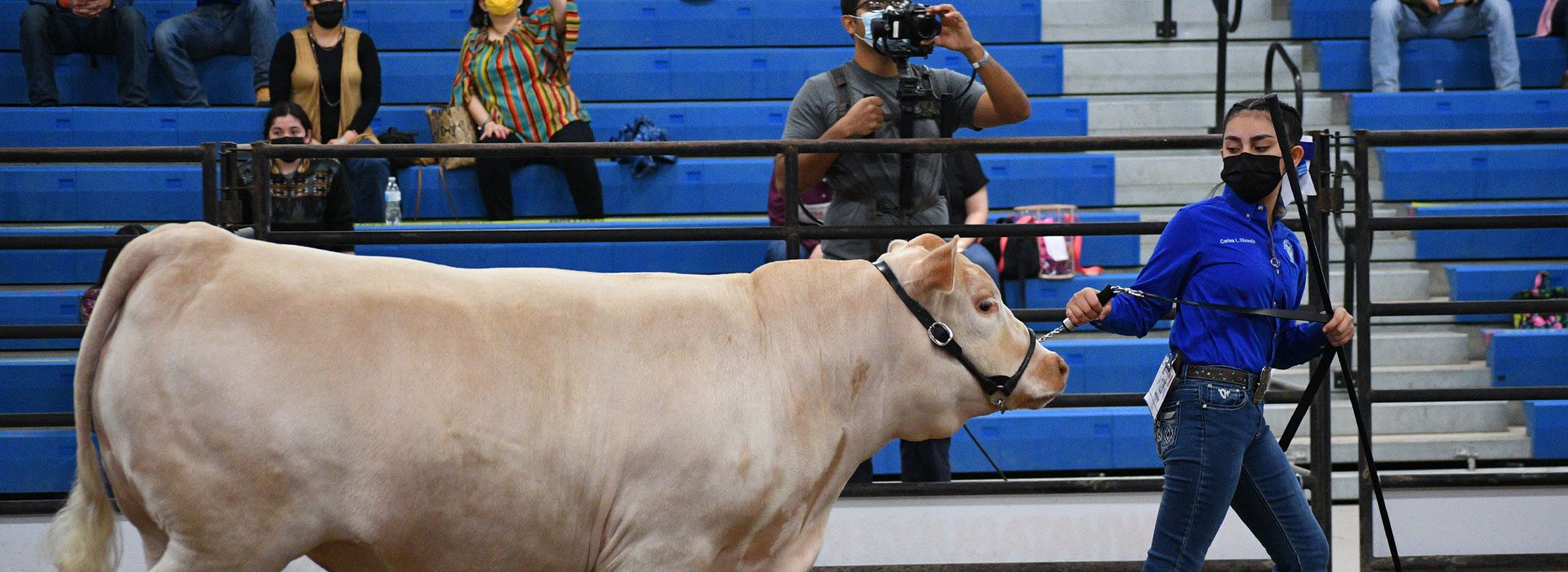 Events Laredo International Fair & Exposition